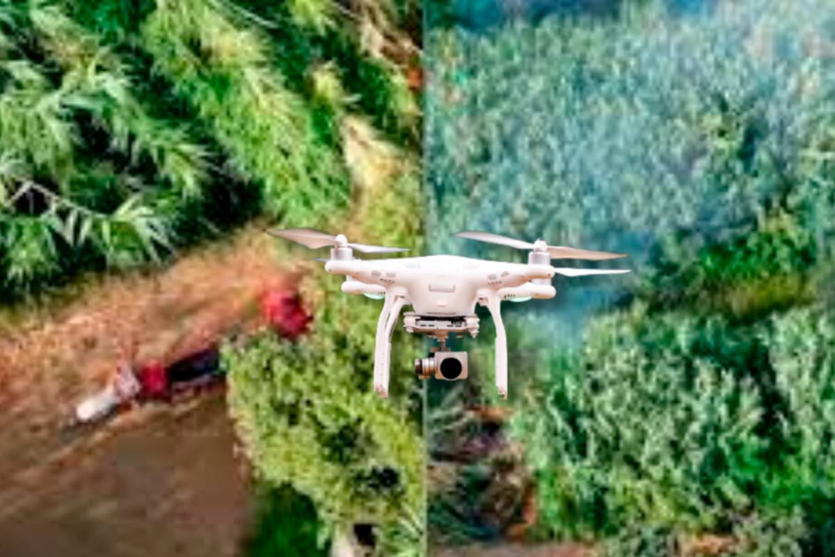 Video: niño de 10 años es captado provocando un incendio en un bosque