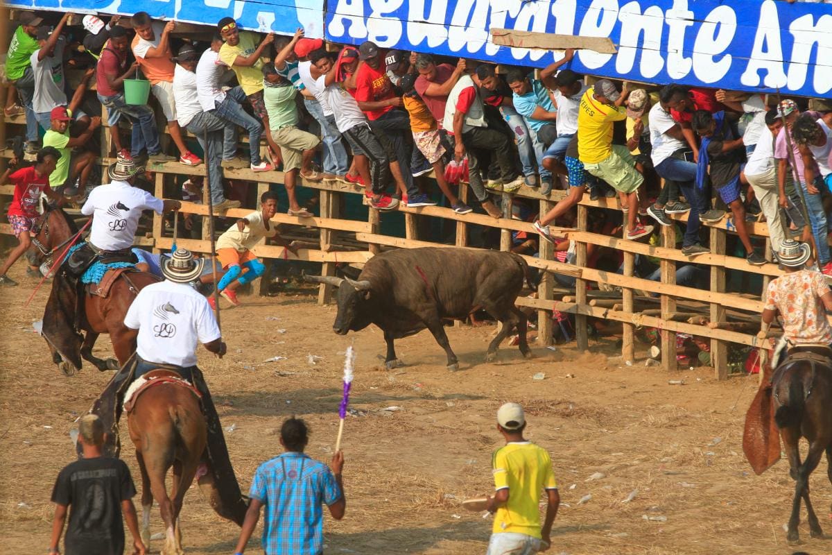 Bolívar, el departamento con más muertos por corralejas
