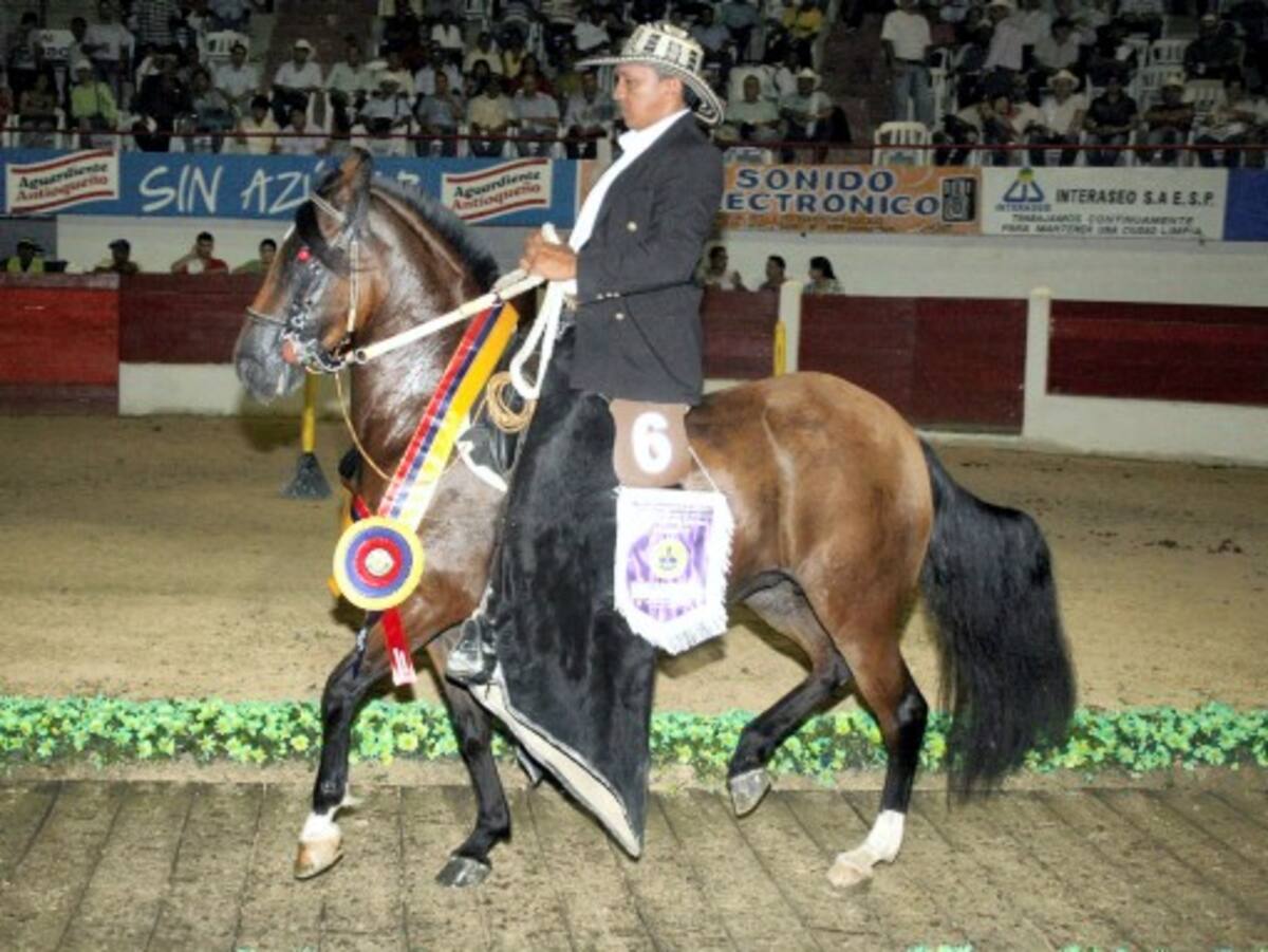 Gran Campeona Reservada Trote y Galope “Propuesta”, montador Antonio Ríos.