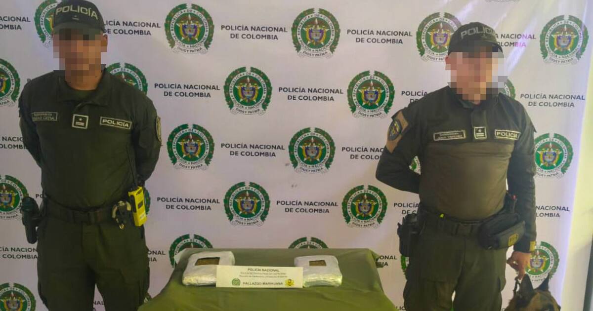Perro antidrogas detectó encomienda cargada de droga en El Bosque