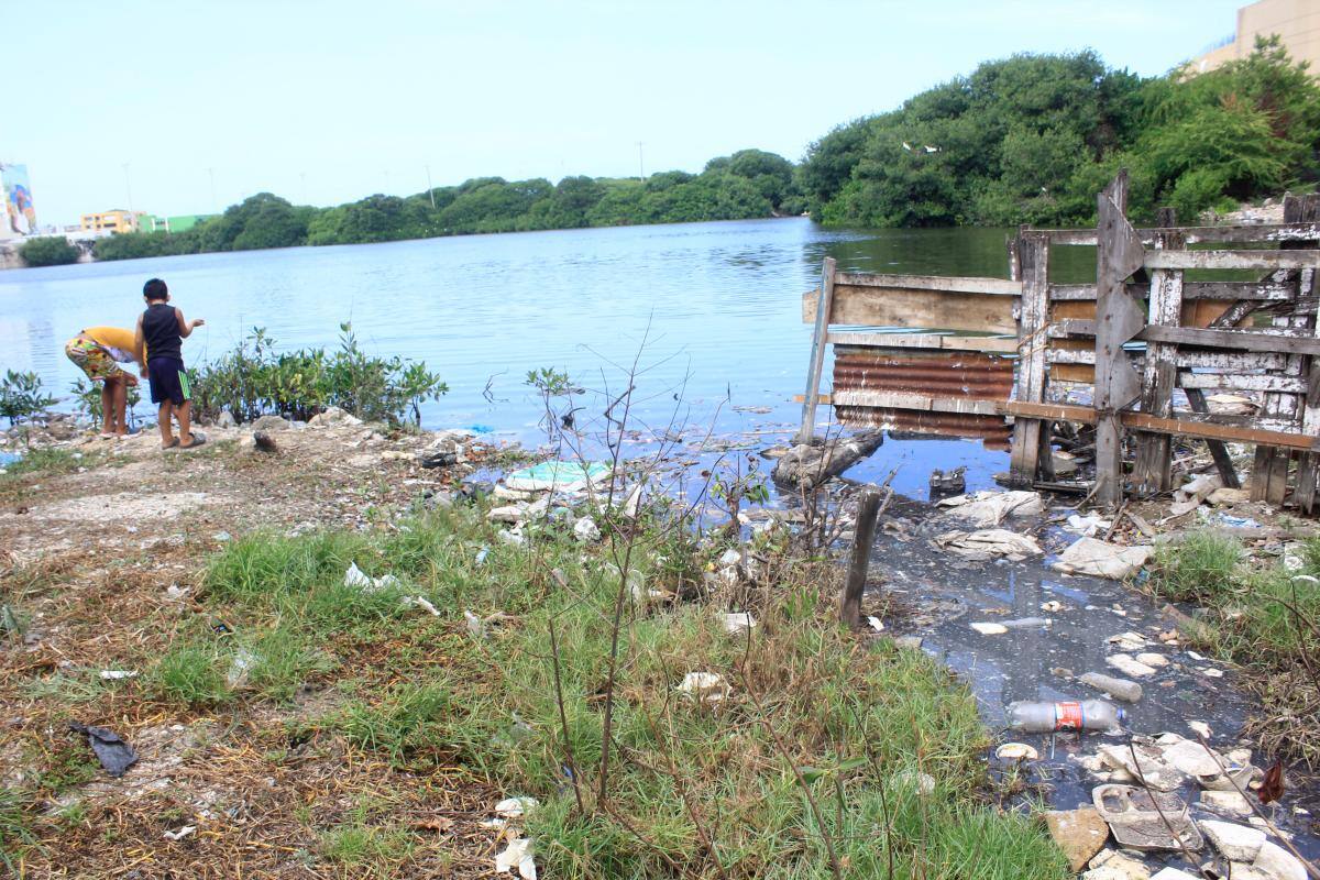 En 2022 no ha habido muertes por dengue en Cartagena