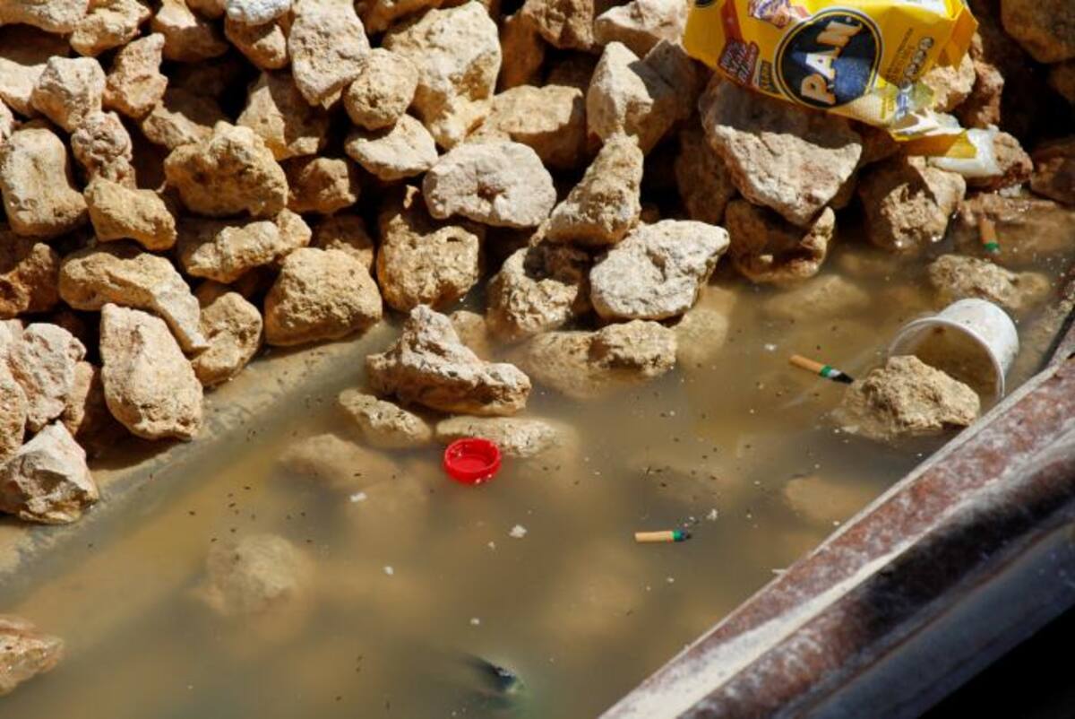 El estancamiento de aguas se convierte en criadero de mosquitos. ARCHIVO