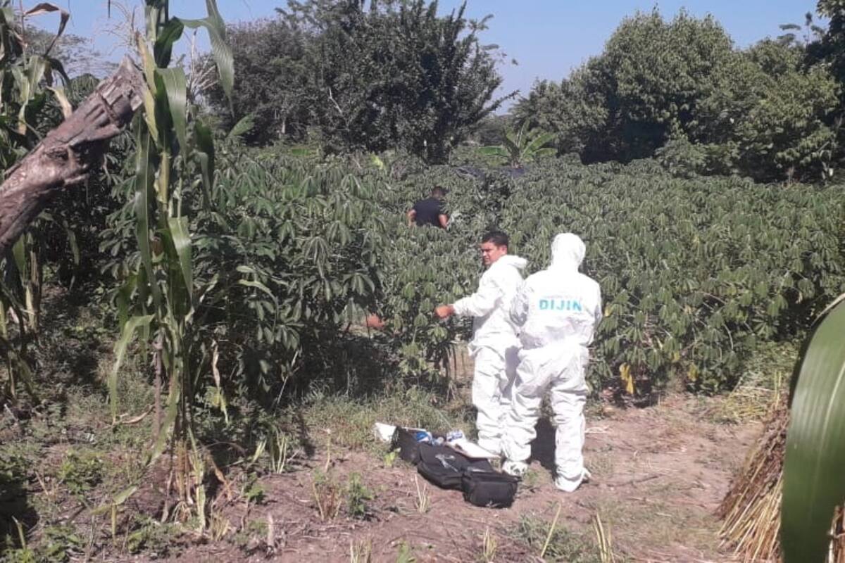 El drama de un padre tras la escabrosa muerte de su hija