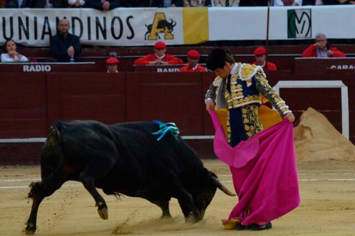 Dan aval a proyecto que prohibiría las corridas de toros en Colombia