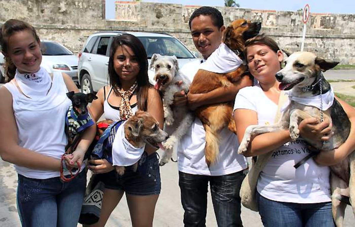 Camila Valderrama, con Roky; Verónica Escobar, con Pinky; Javier Rhenals con Price y Print, y Juliana Segrera, con Pitufa.