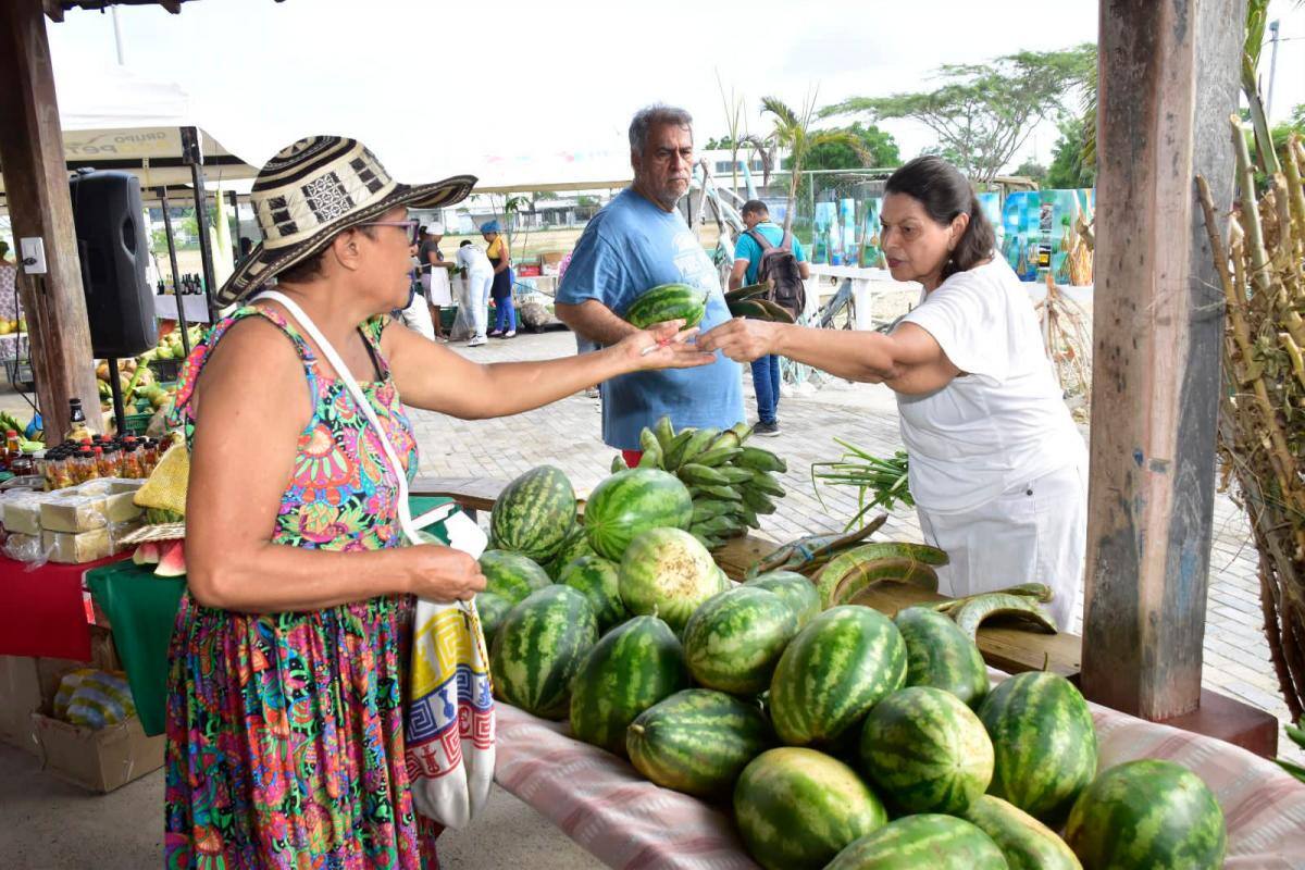 ¡Aproveche! Mercado campesino en San José de Los Campanos