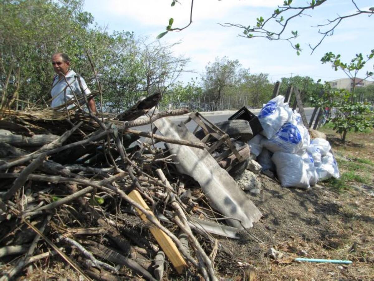 Basura mixta de todo tipo fue recogida de la zona de manglar aledaña al Puente Las Palmas.