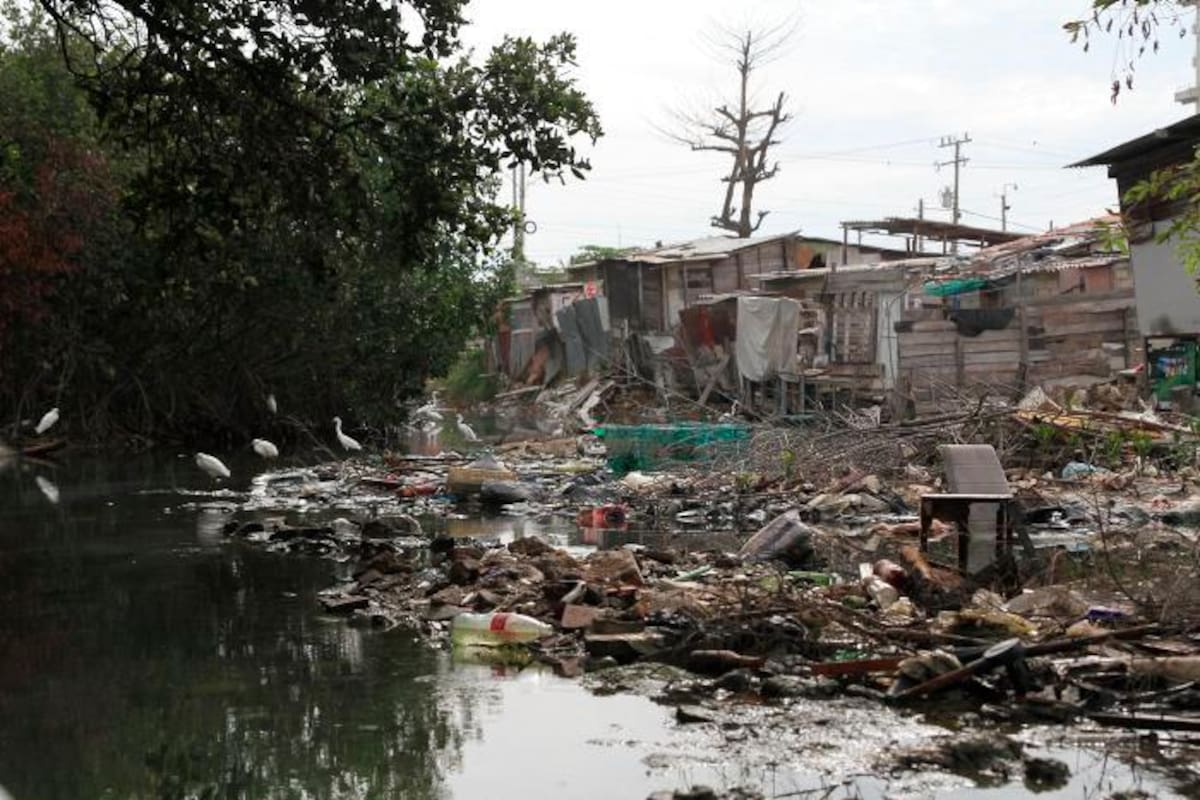 Cinco sitios de Cartagena que piden a gritos una solución ambiental