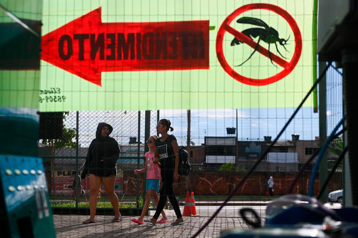 Brasil supera el medio millón de casos de dengue en lo que va del año