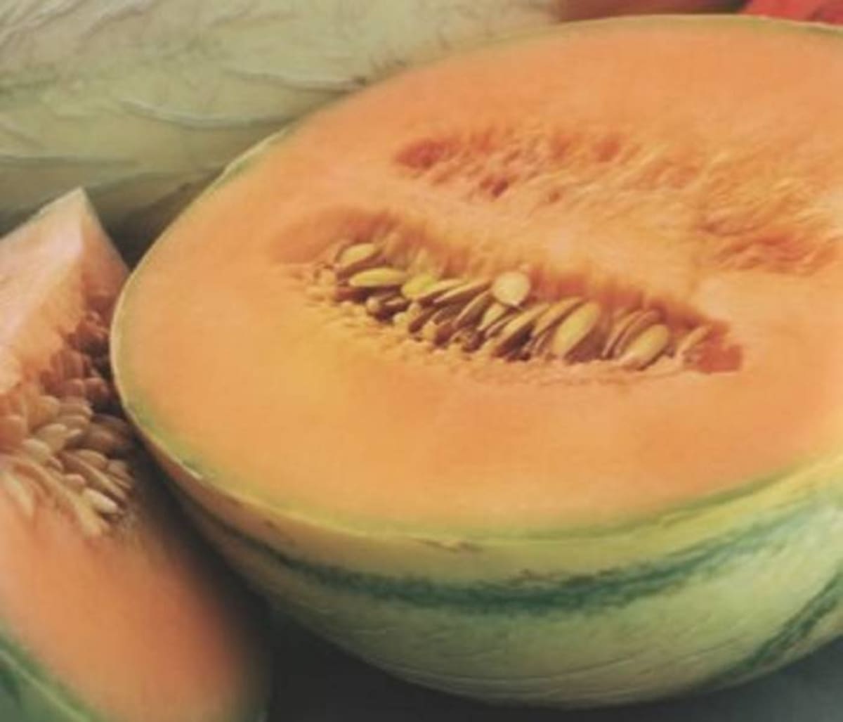 Melón Botica: Melón
