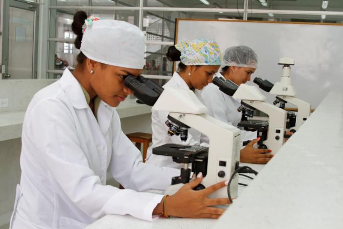 Es tan importante este tipo de formación que algunas empresas contratan los servicios de universidades para sus empleados, según el área en que se desempeñan. Tome nota. Aroldo Mestre