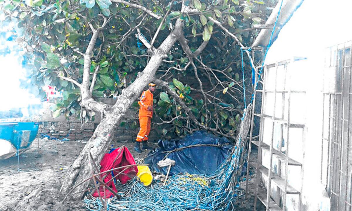 Un torrencial aguacero, tormentas eléctricas y fuertes vientos en la madrugada del viernes dejaron como resultado más de 120 familias afectadas con viviendas destechadas, árboles caídos, inundaciones así como calles que quedaron intransitables en el municipio de Ciénaga. Colprensa