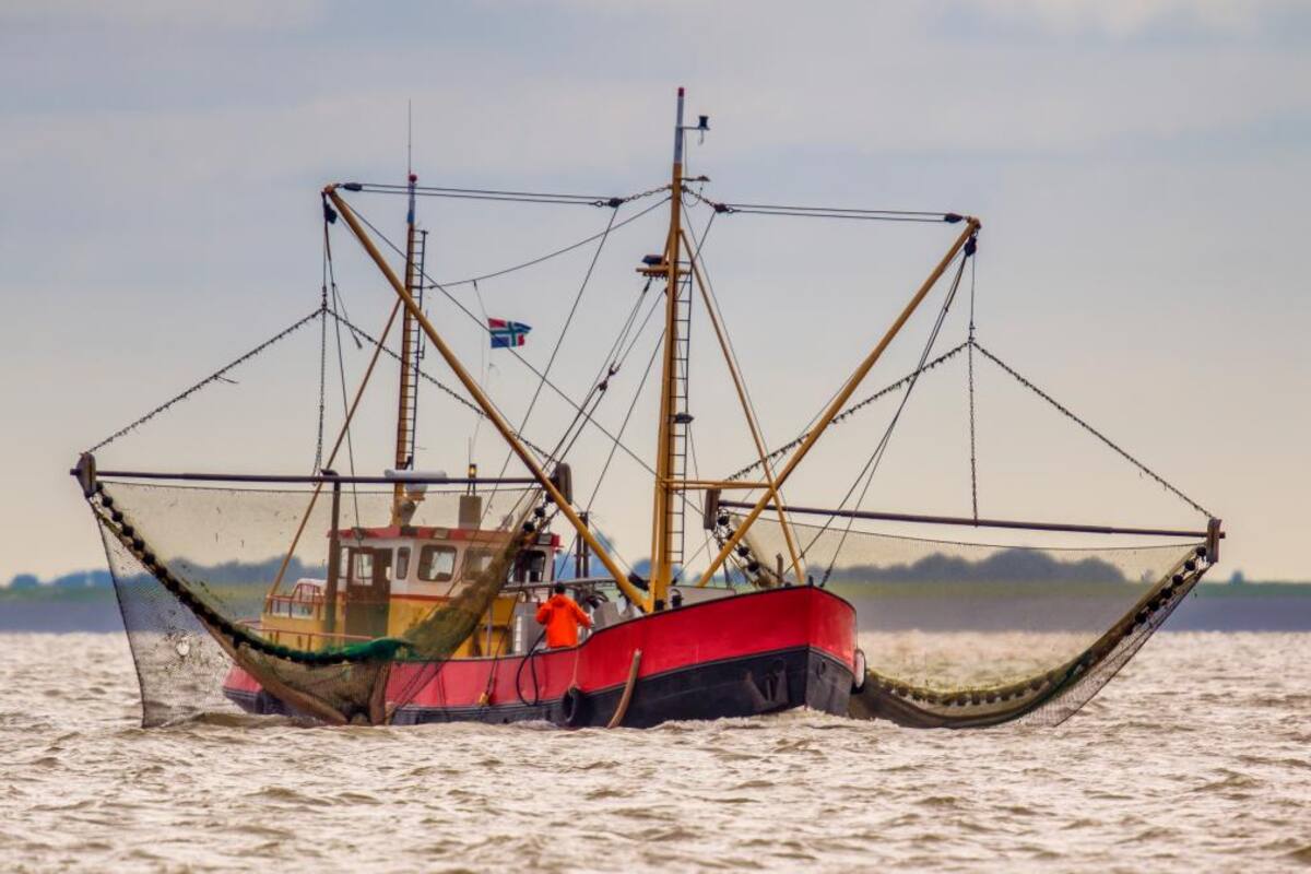 El tipo de red hace al tipo de barco