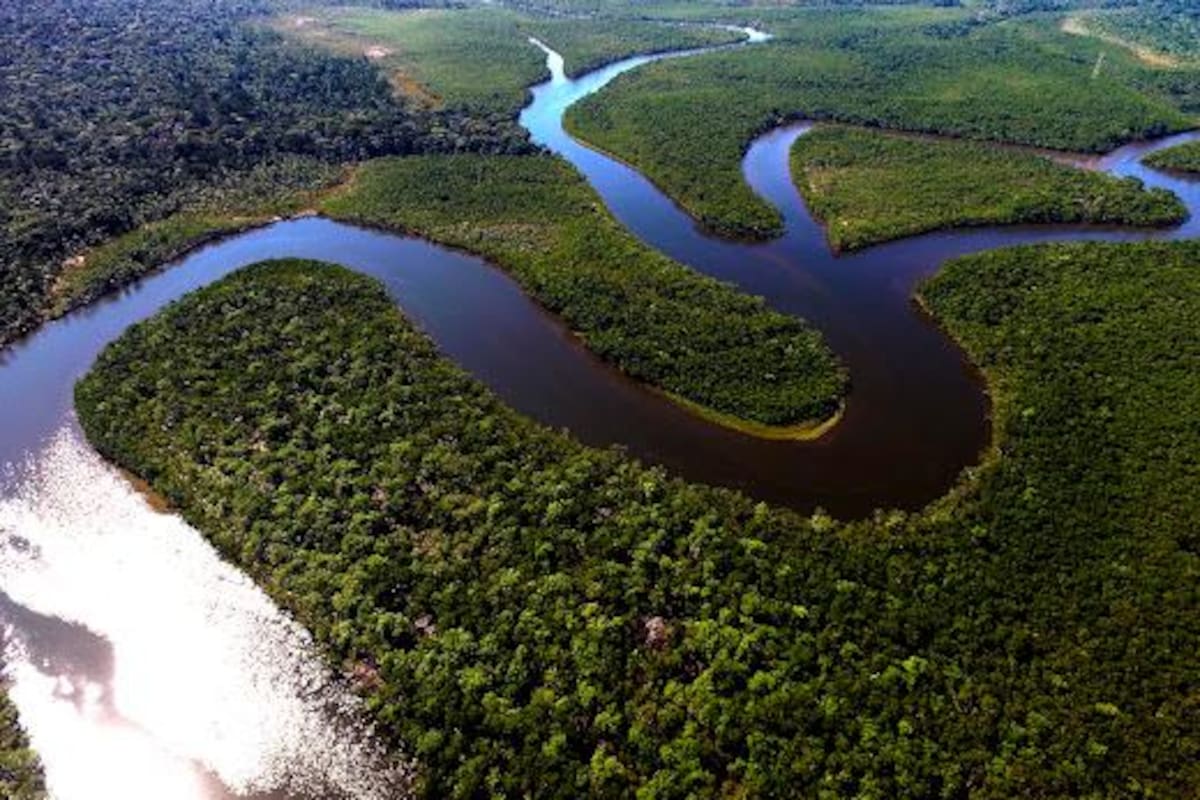 Conozca las tres causas de Natura en Colombia