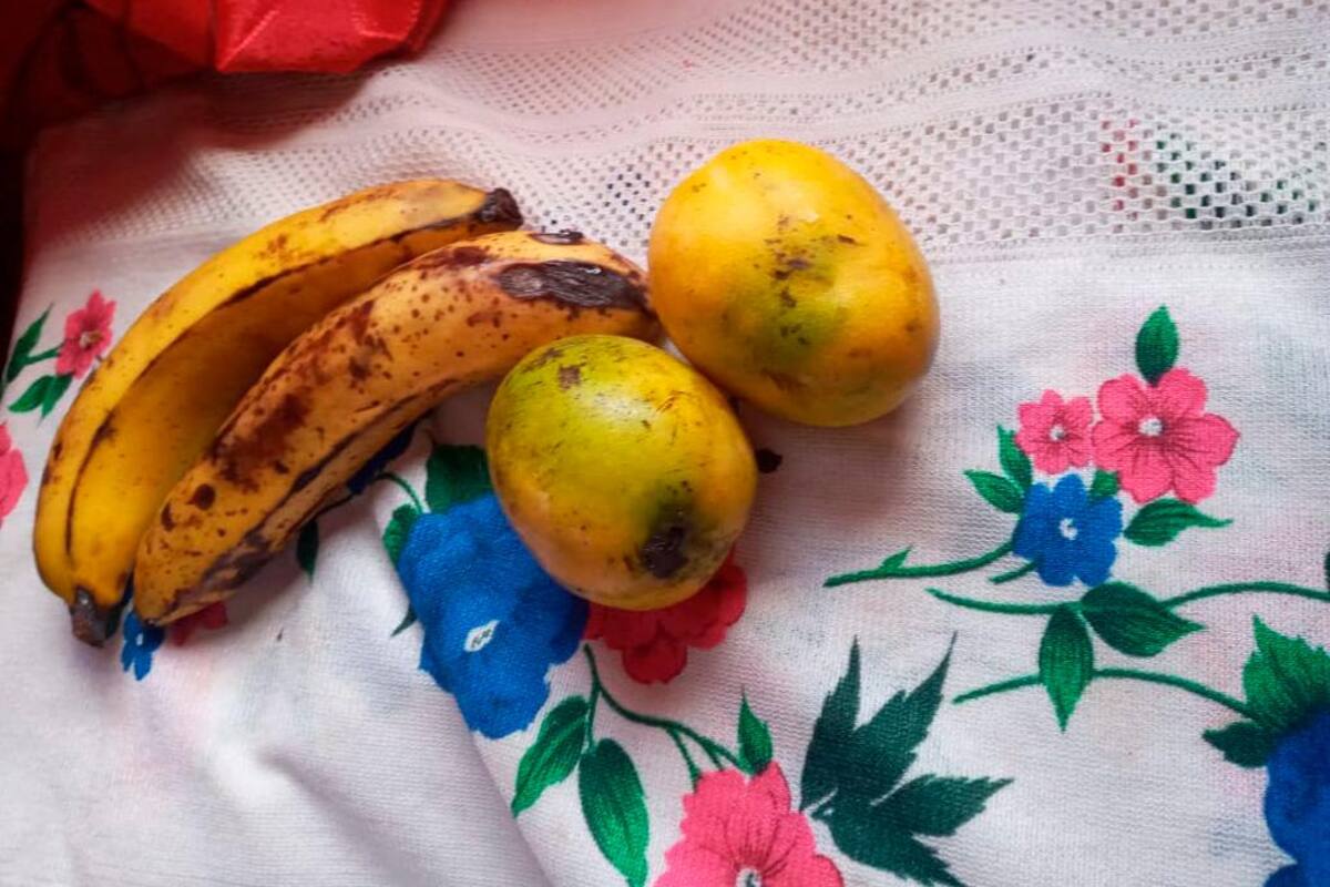 Contraloría halla frutas podridas en alimentos para el PAE en Cartagena