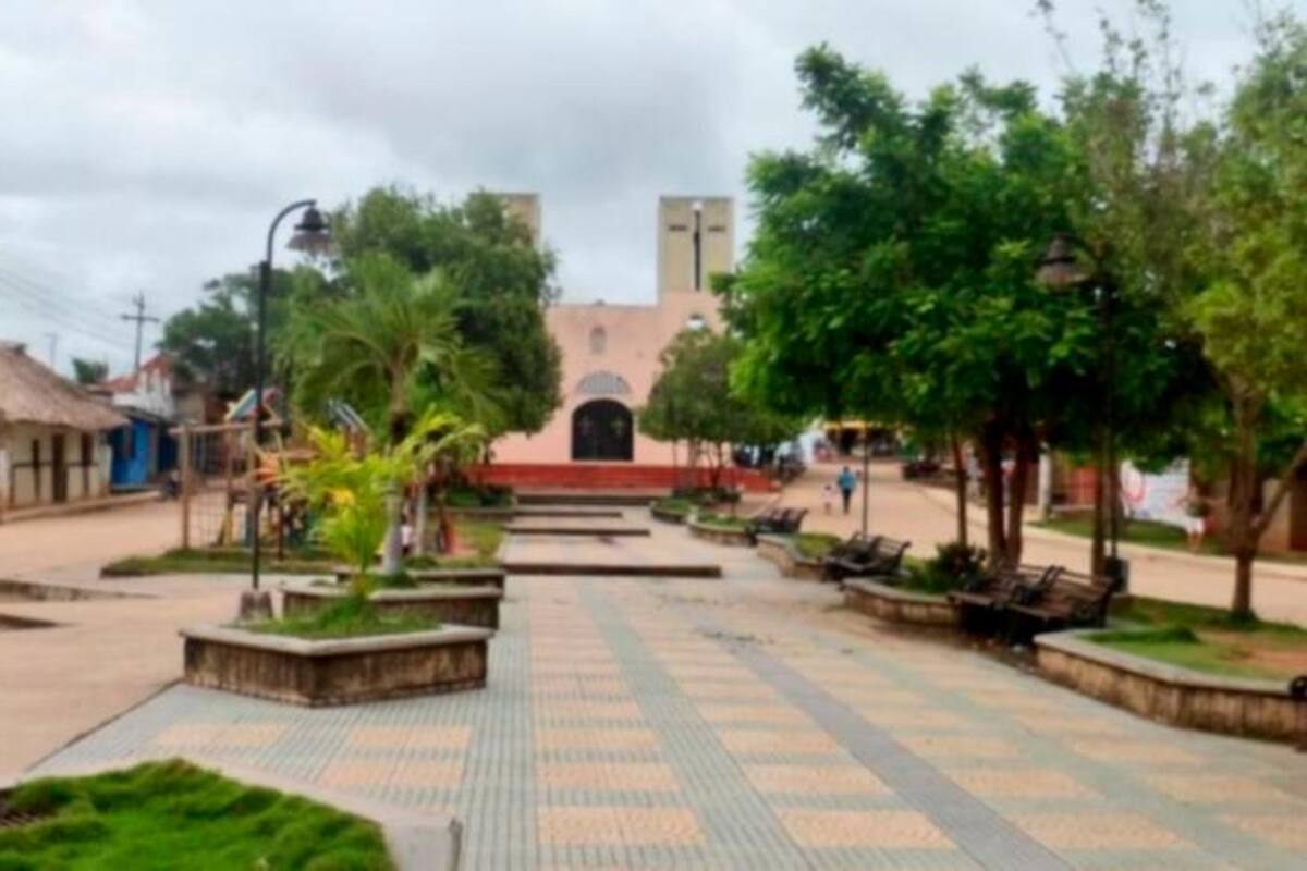 En Sucre, sigue plan de contingencia para contrarrestar enfermedad de Chagas