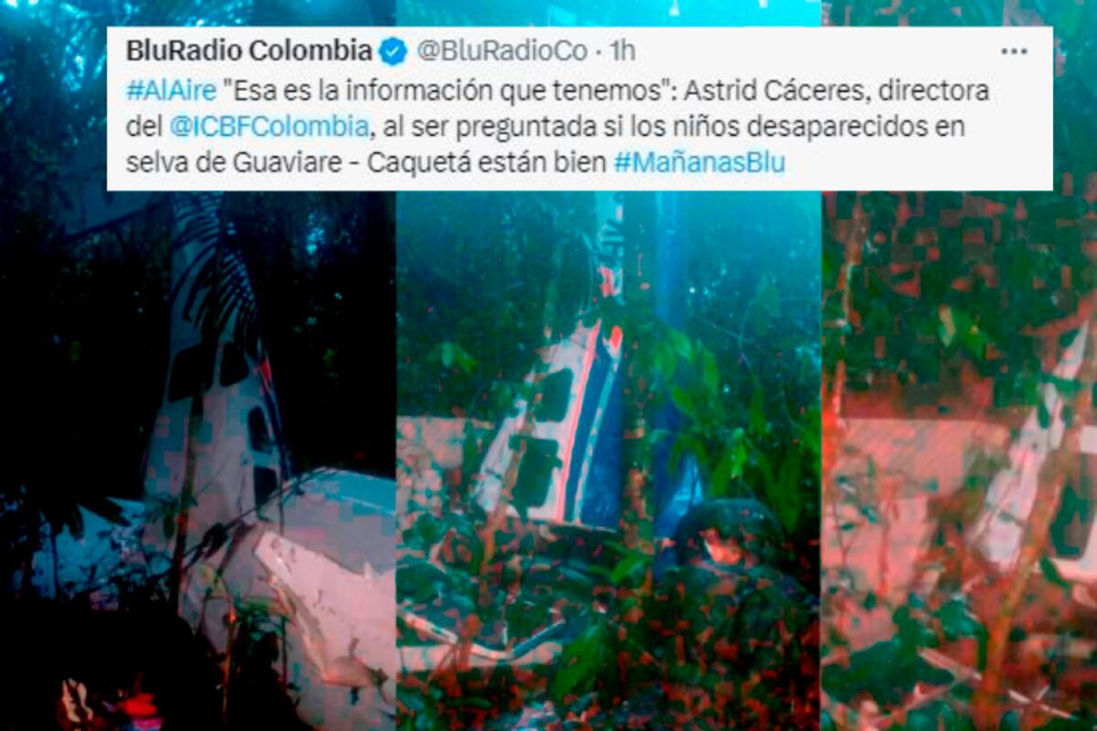 Atención: “Los niños están en algún punto de la selva”: directora del ICBF