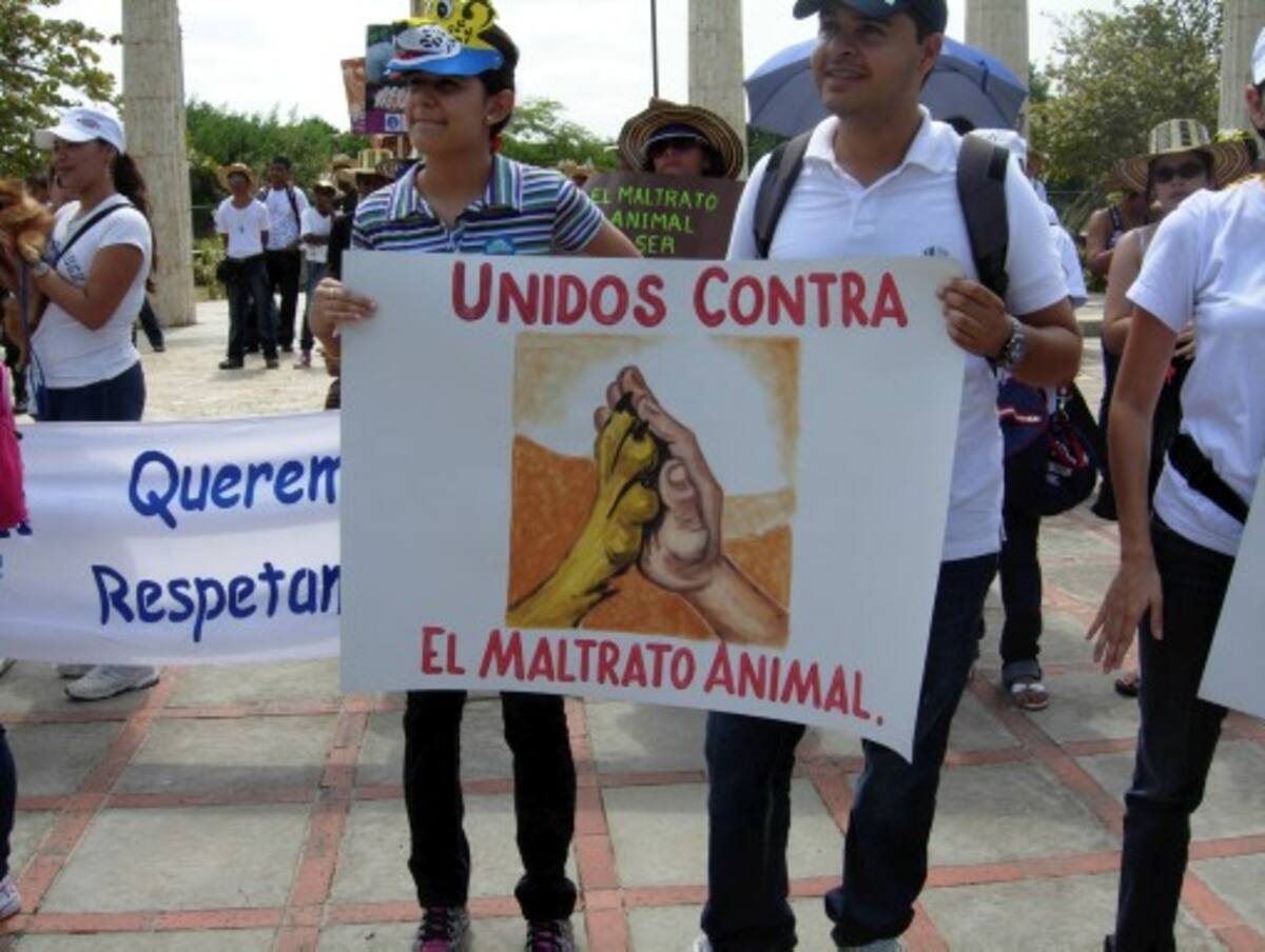 Con una marcha pacífica por las calles del barrio el Cabrero, unas 200 personas reclamaron el buen trato por los animales desamparados y maltratados. GLORIA CARDONA RESTREPO- EL UNIVERSAL -