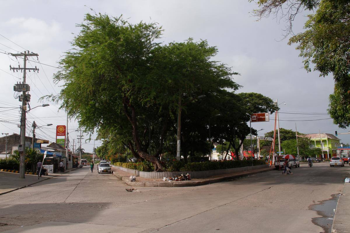 Otros 10 parques y zonas verdes de Cartagena ya tienen padrinos