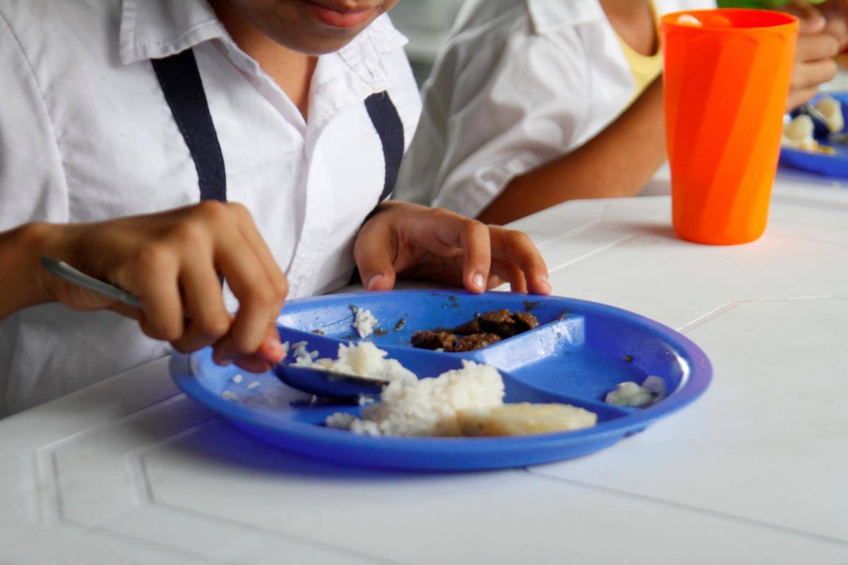 “Declaratoria desierta de licitación del PAE sigue en pie”