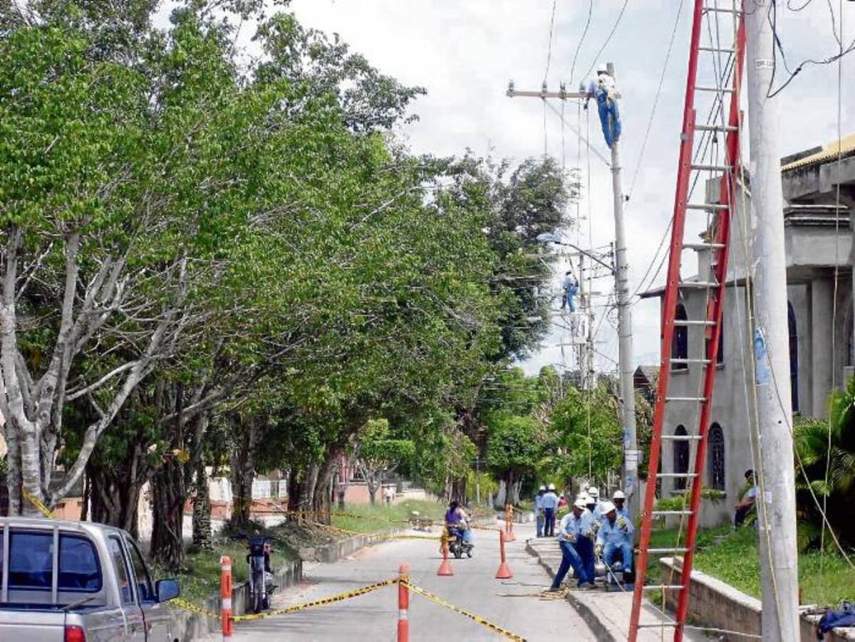 Las redes de energía se afectan por las ramas de árboles, ante lo cual realizan podas continuamente.