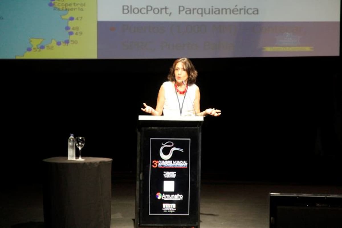 Silvana Giaimo Chavez, ex viceministra de Minas y Energía de Colombia. ANTONIO CANCHILA GARCÍA - EL UNIVERSAL