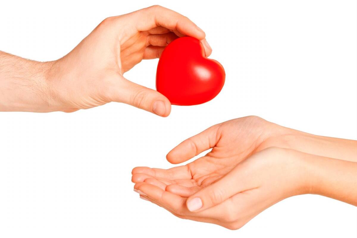 Trasplante y donación de órganos: si quieres donar, déjalo claro