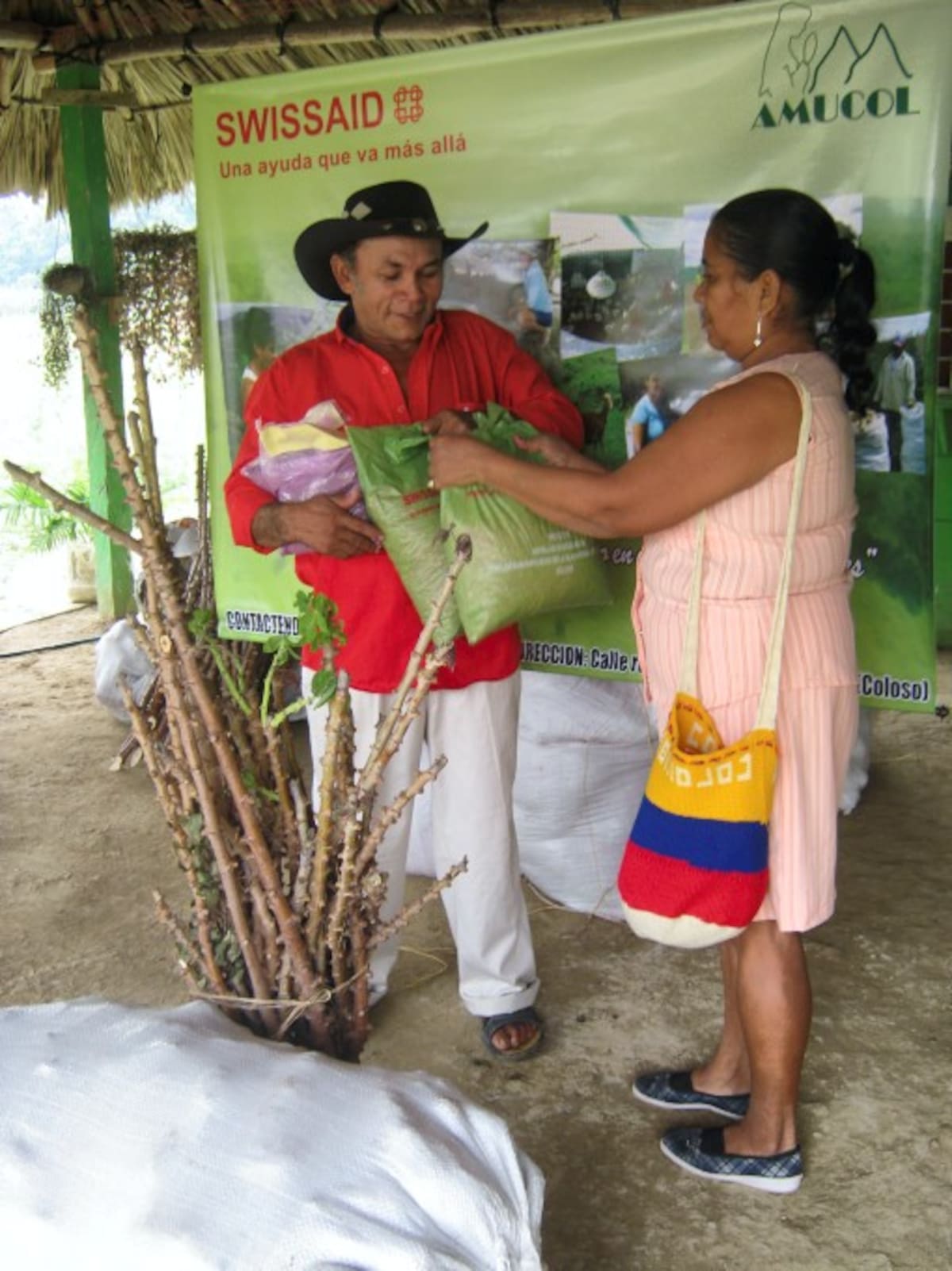 Semillas de yuca, maíz, ñame y fríjol entregaron a los campesinos para recuperar unas 286 hectáreas de cultivos perdidas por el invierno.