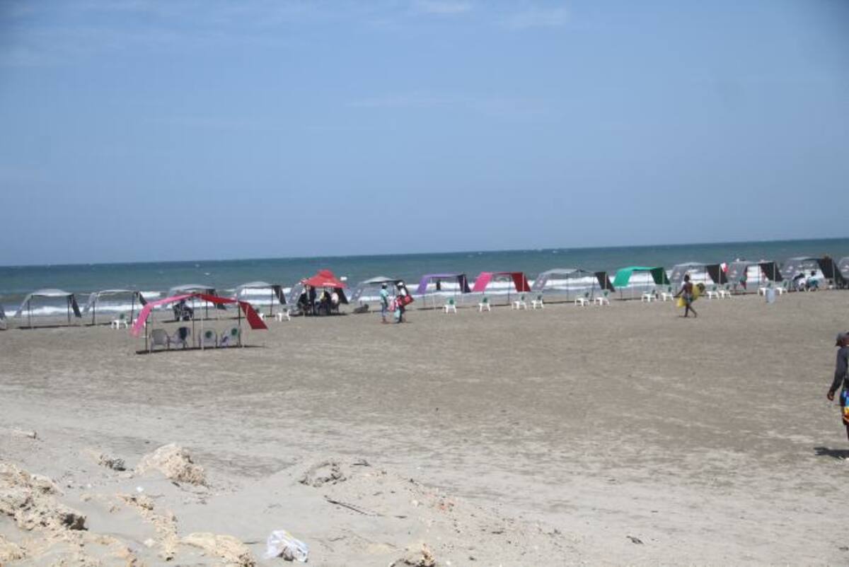Si usted observa esta especie en la playa, abstengase de manipularla, avise de inmediato al Cuerpo de Salvavidas de la ciudad y retirese del lugar. La toxina que emana la Carabela surte efecto hasta con animales muertos. //Foto archivo