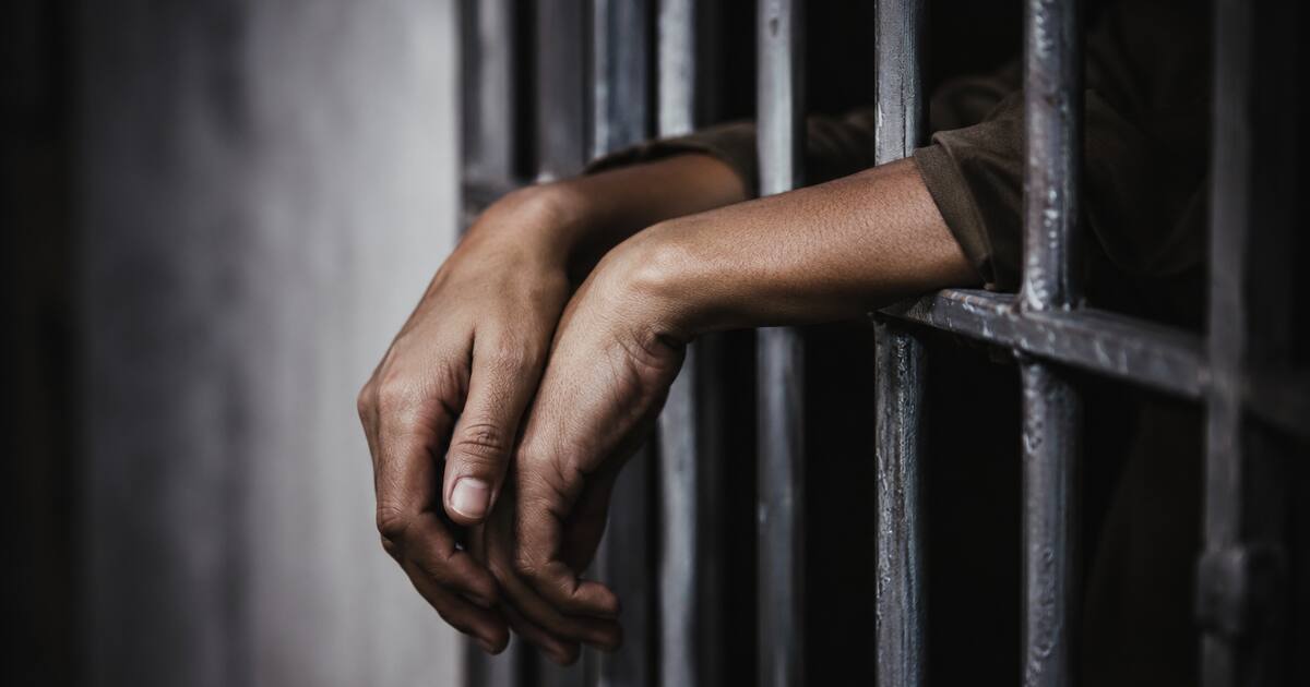 Liberan en Siria al cineasta Hassan Akkad tras cuatro días detenido