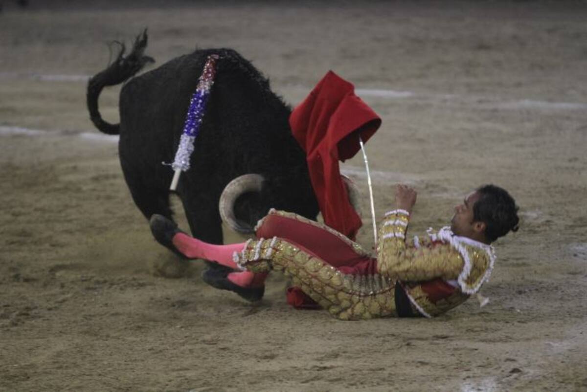 Los empresarios, impulsores y amantes de la tauromaquia iniciarán un proceso en contra del Distrito por lo que catalogan como discriminación y una violación del derecho al trabajo. El Universal.