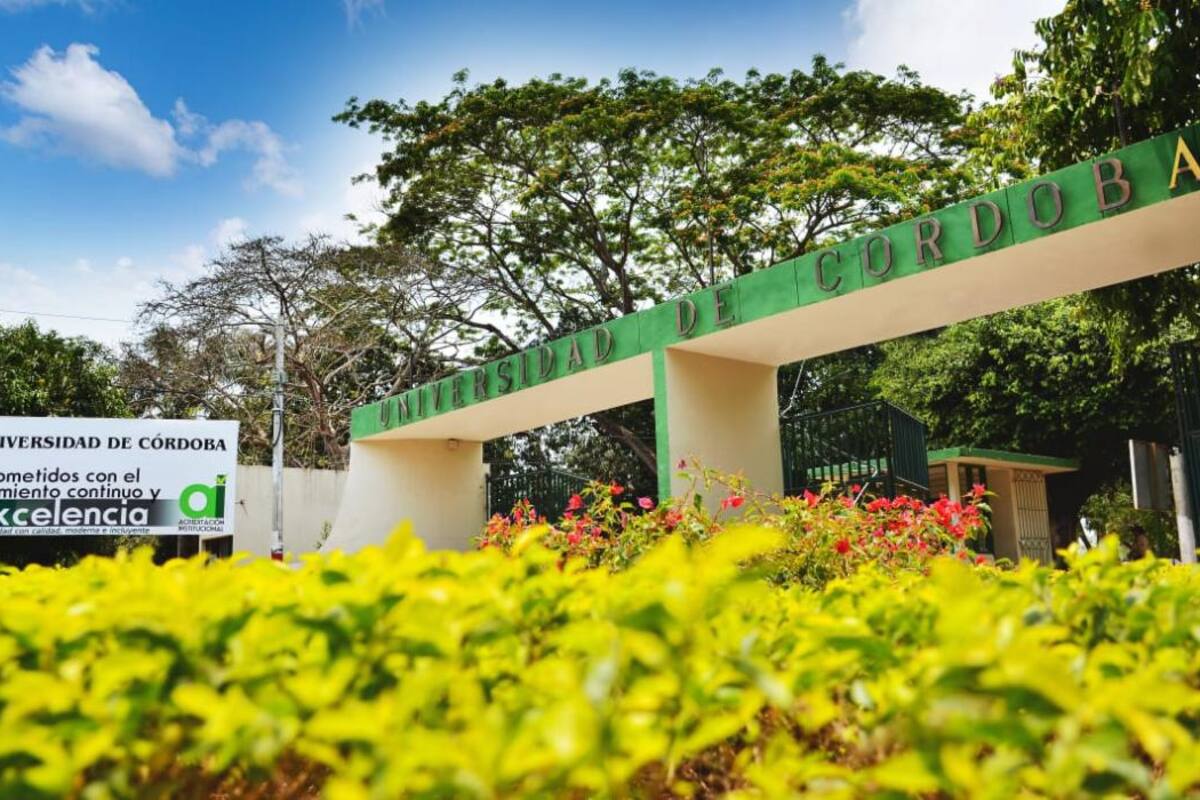 Universidad de Córdoba entre las 12 mejores del país