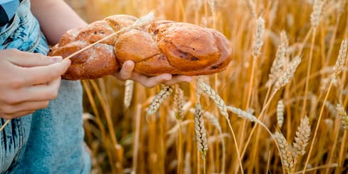 Aclaremos mitos nutricionales: ¿el gluten realmente enferma?