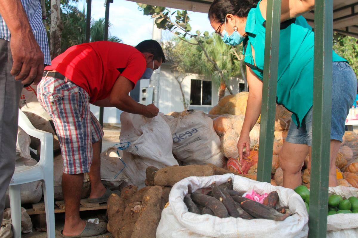 Mercado móvil campesino estará el fin de semana en San José de los Campanos
