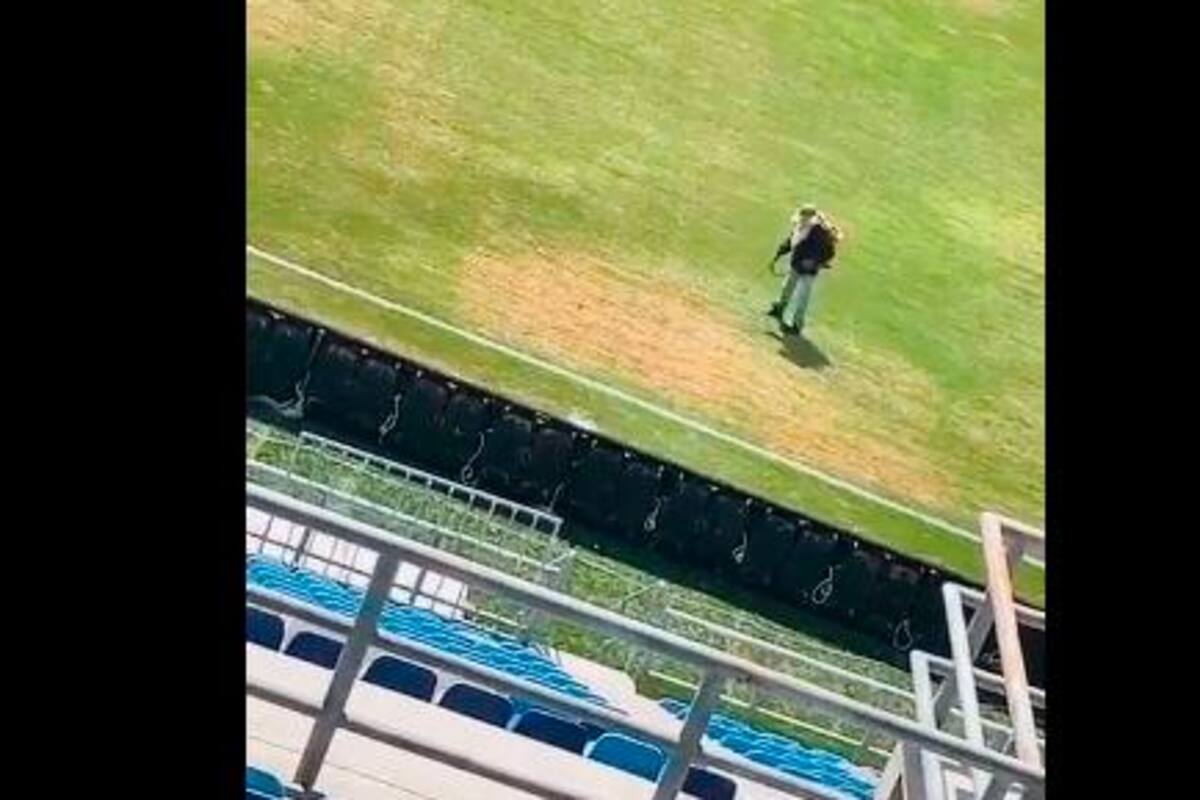 Video: así maquillaron el gramado del estadio Sierra Nevada en Santa Marta
