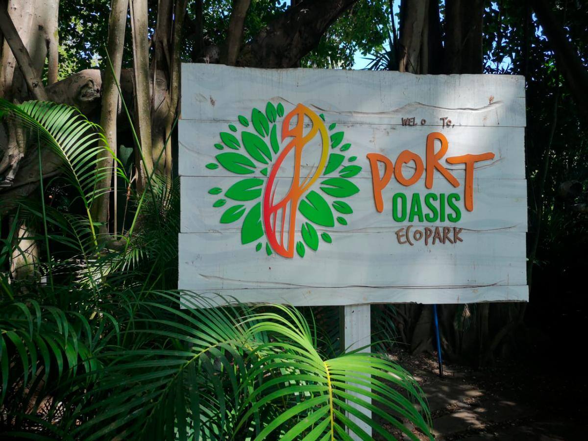 Los visitantes podrán disfrutar un show de aves, entre 11.30 a.m y 3.pm. y visitar el hábitat de flamencos y cisnes, la plaza de guacamayas, entre otros. // Fotos: Érica Otero Brito.