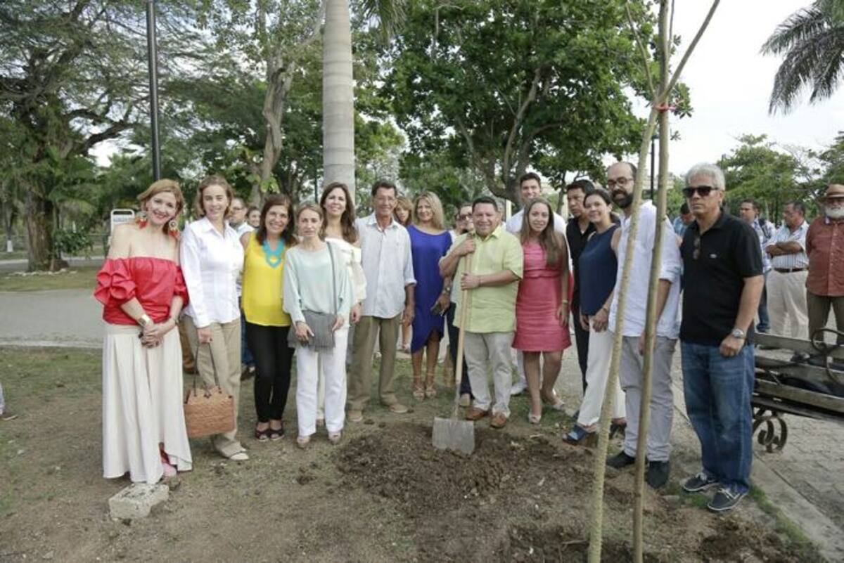El mantenimiento de los árboles a futuro será una misión de la Cámara de Comercio de Cartagena, entidad comprometida con el desarrollo sostenible de la región. Cortesía