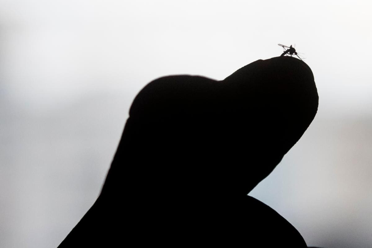 Alerta en Costa Rica por aumento de casos de dengue durante enero