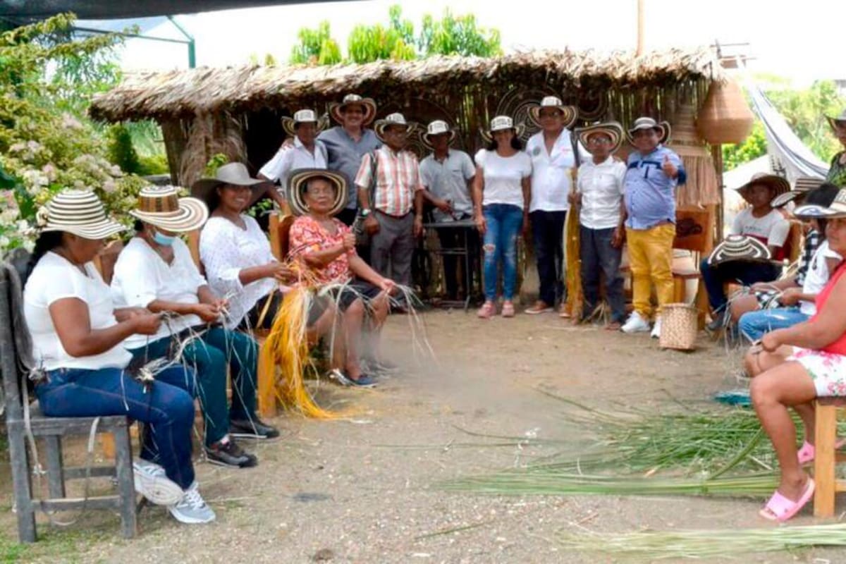 El trenzado Zenú en caña flecha es patrimonio cultural inmaterial