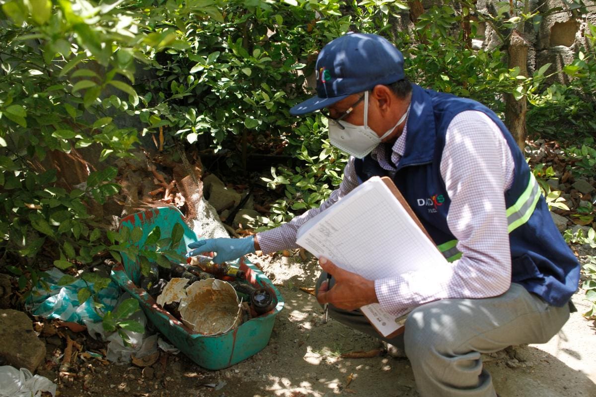 Se encontraron muchos recipientes llenos de agua estancada.