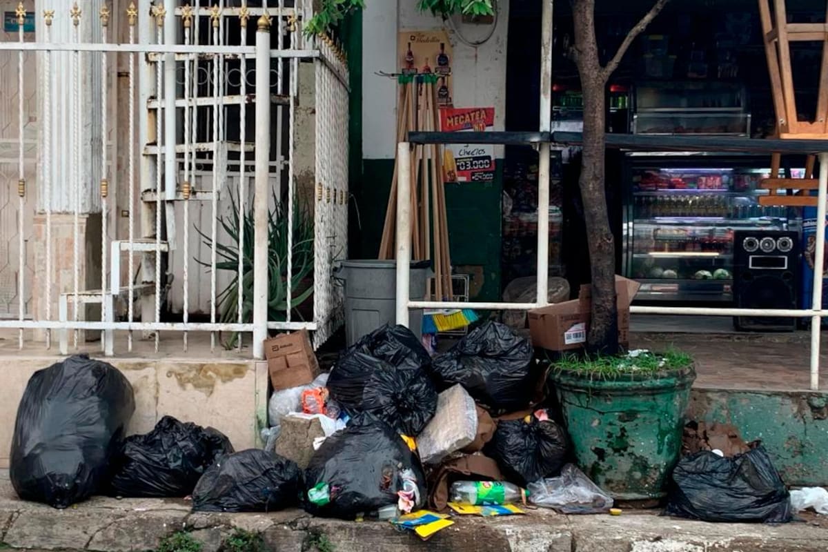 “Ya estabilizamos las frecuencias de recolección de basuras en nuestra área”