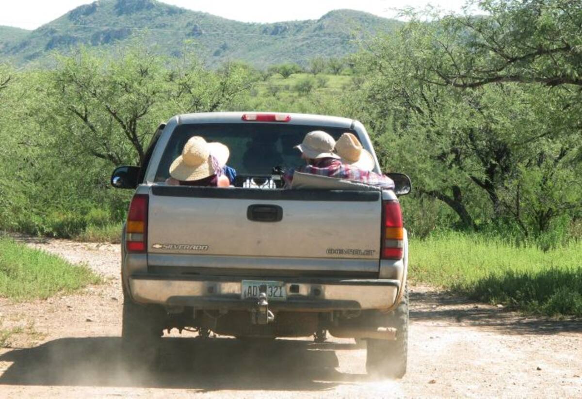 La mujer sufrió una avería en su vehículo que la hizo desviarse hacia el desierto. Ilustración.