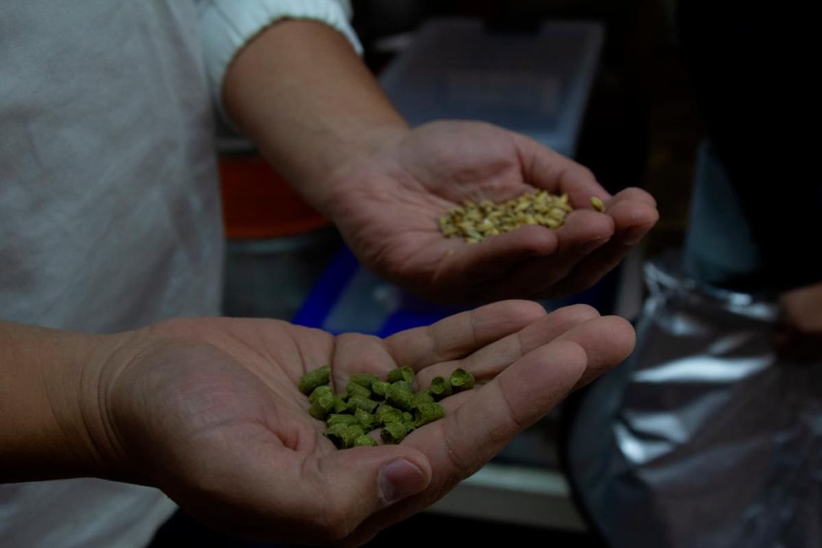 Claves para entender el mundo de la cerveza artesanal