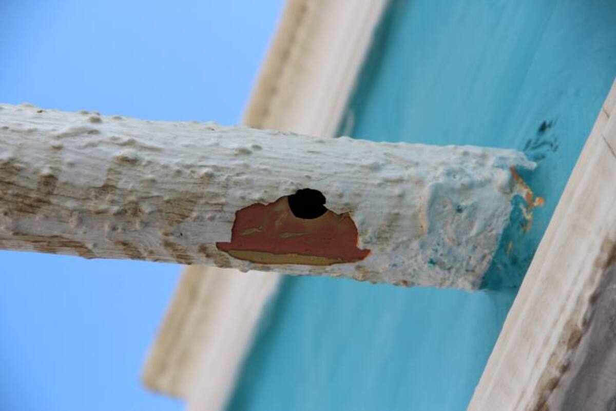 Según Ocaris otro balazo impacto en el tubo del desague pluvial, del techo de su vivienda. ElUniversal.com.co