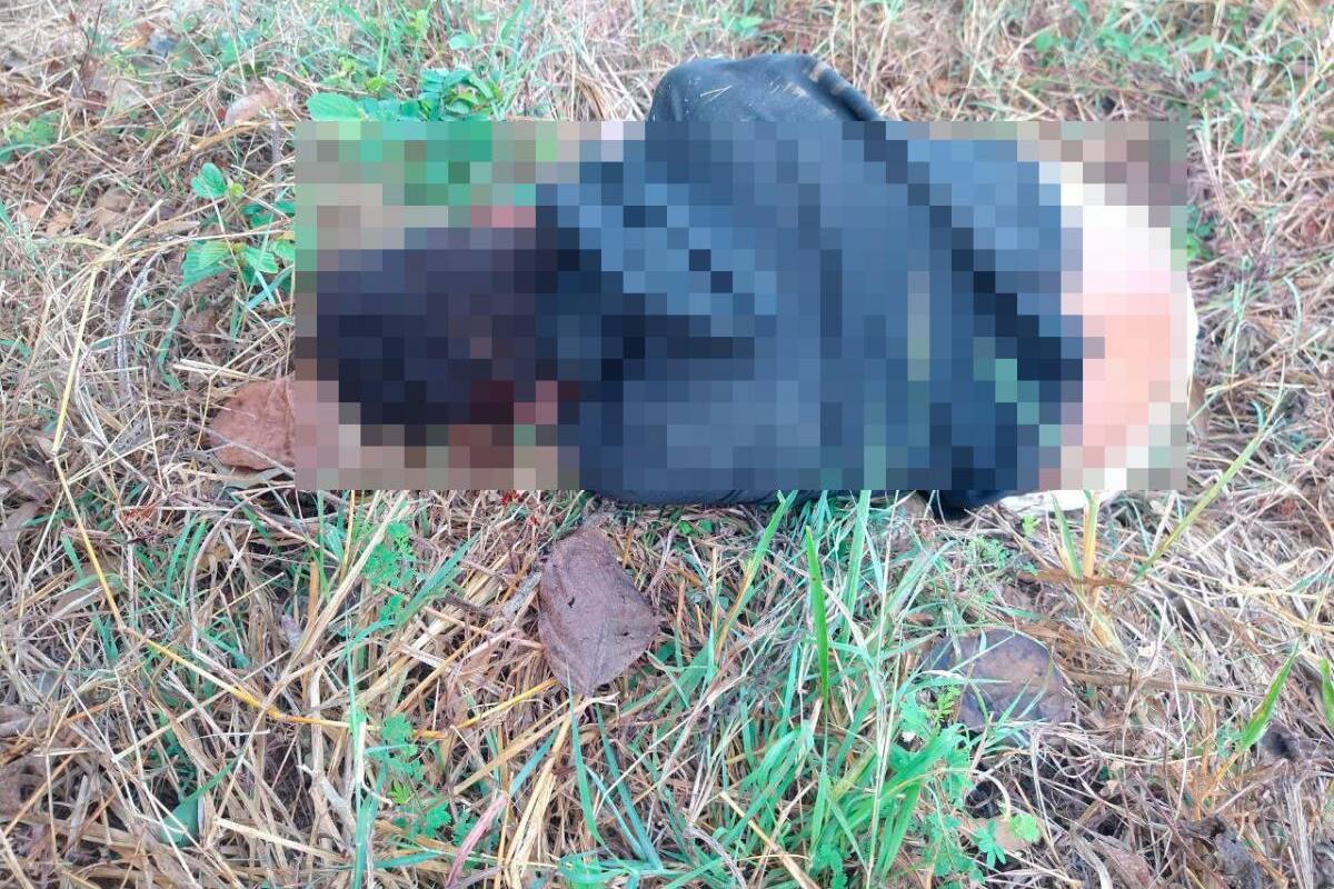 ¡Macabro! Hallan cuerpo sin vida de un joven en una trocha de Santa Catalina
