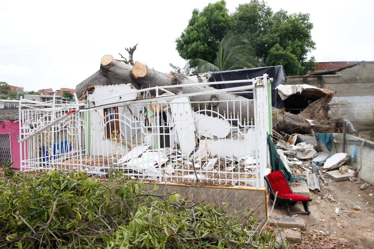 Aún no quitan bonga que destruyó casa en El Reposo