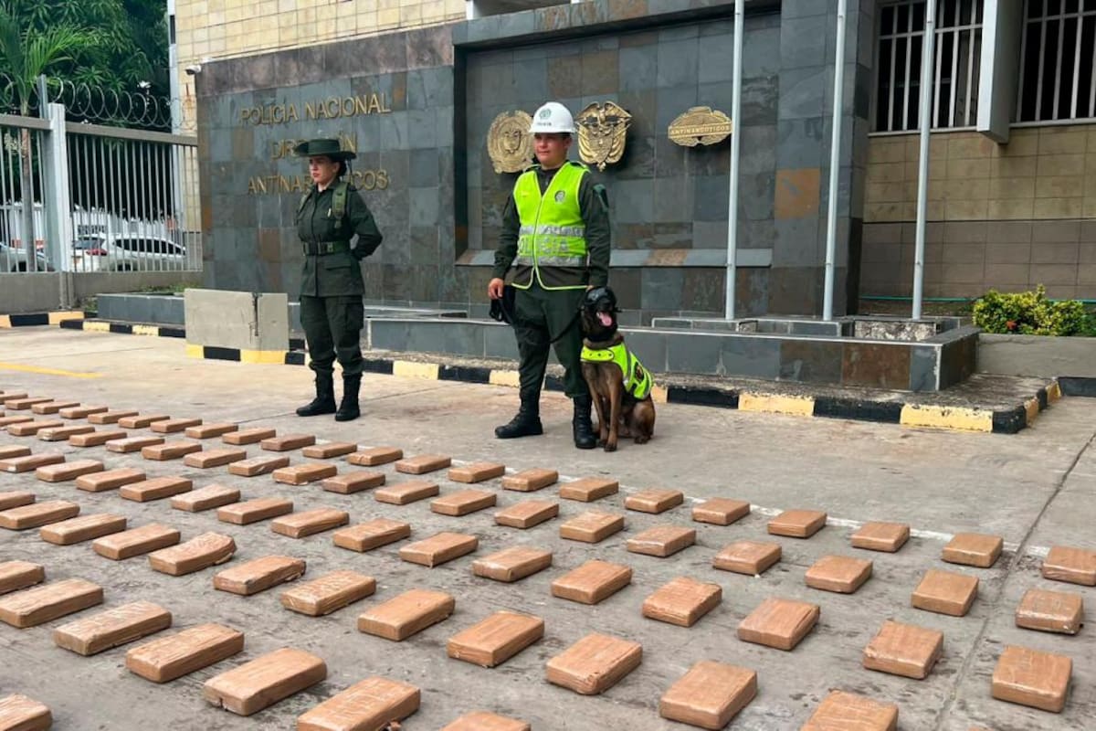 Los 917 kilos de cocaína incautados en Cartagena eran del Clan del Golfo