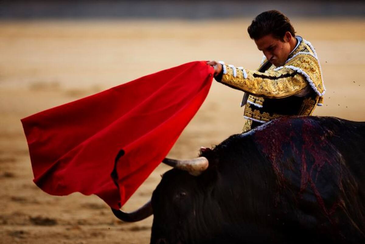 Santiago Fausto, novillero AP