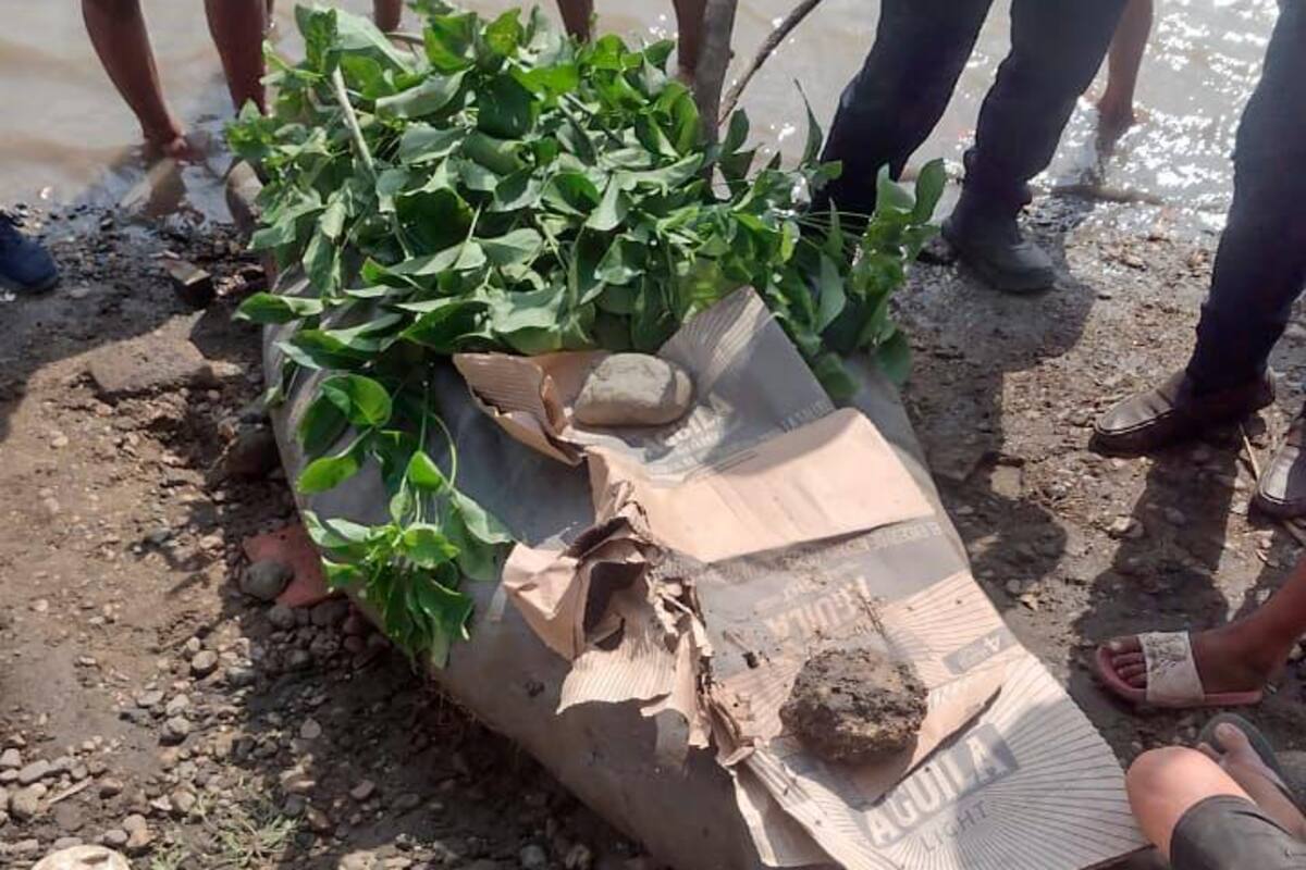 Esto dijo Cardique ante el hallazgo de un manatí muerto en San Cristóbal