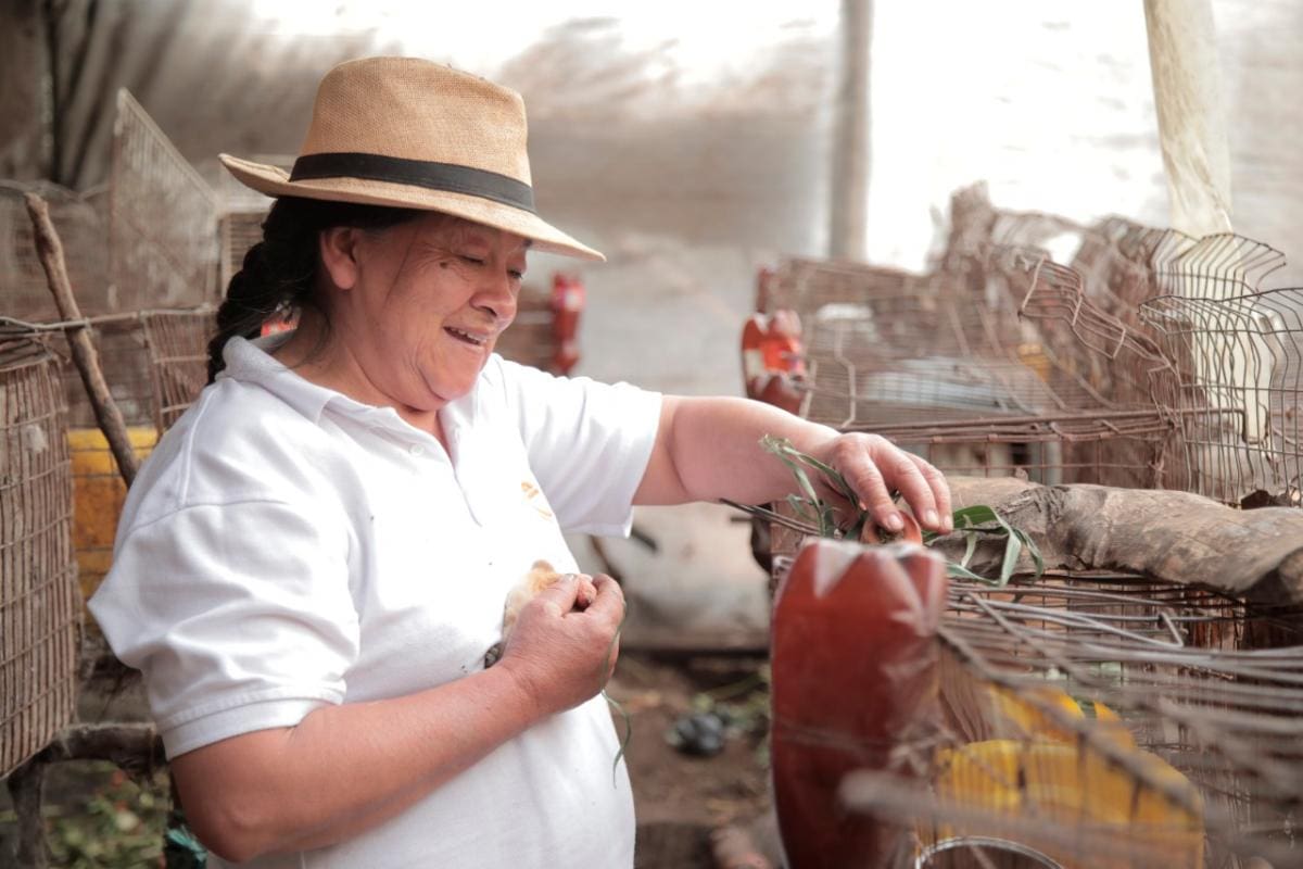 ‘Conexiones de Valor’, alianza para potenciar el emprendimiento femenino colombiano